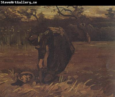 Vincent Van Gogh Peasant Woman Digging Up Potatoes (nn04)